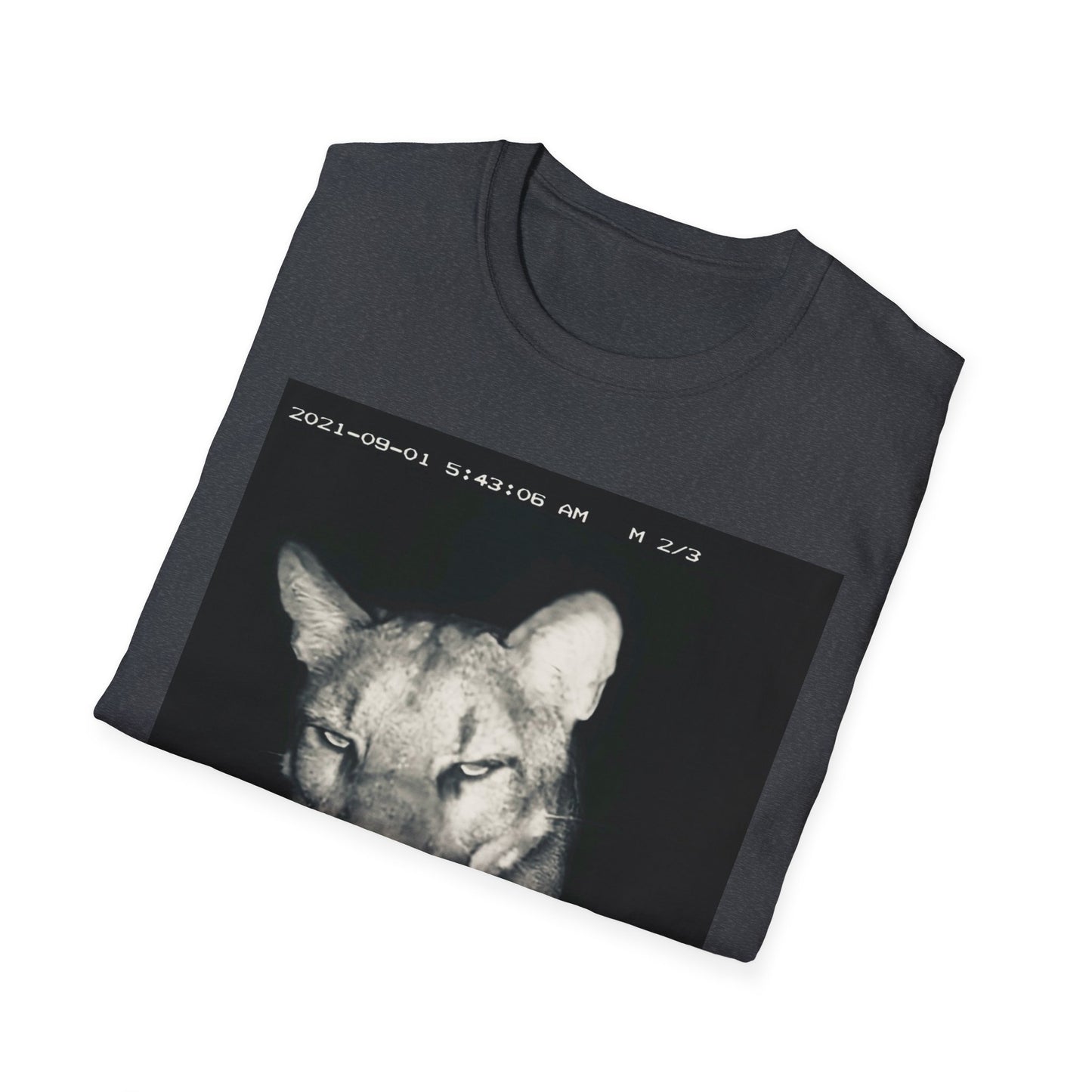 Cat Shirt