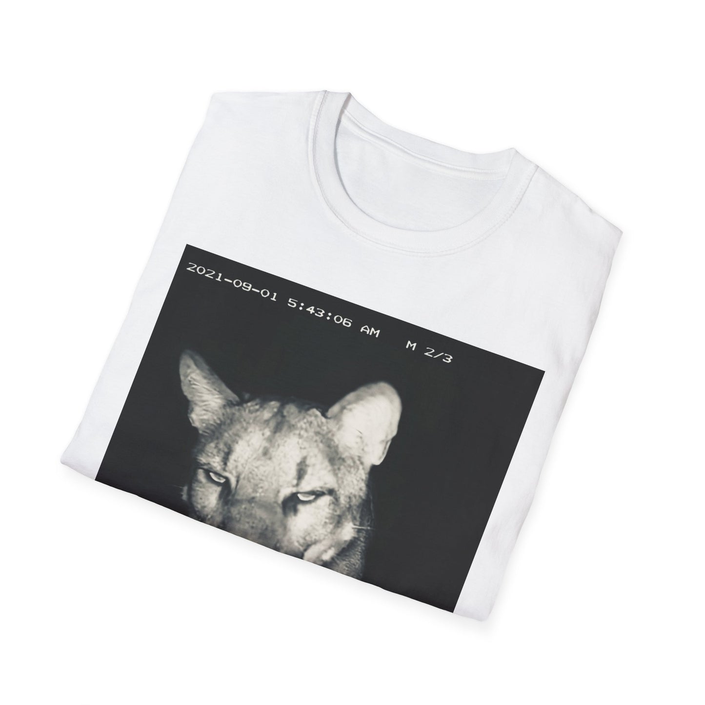 Cat Shirt