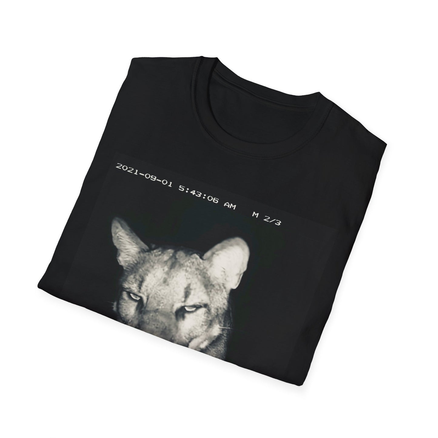 Cat Shirt